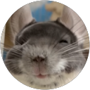 Jacek Skrzypczak profile picture